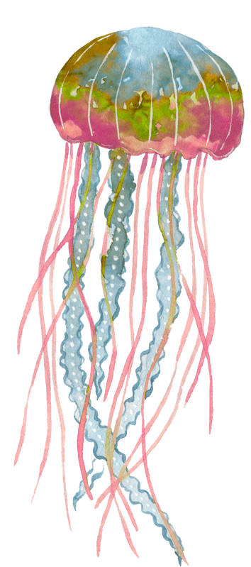 Jellyfish 3